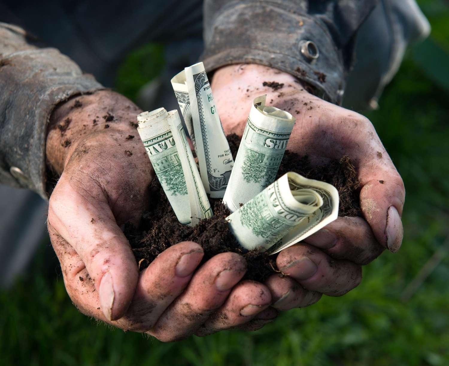 Farmers to receive more direct taxpayer financial assistance this harvest season