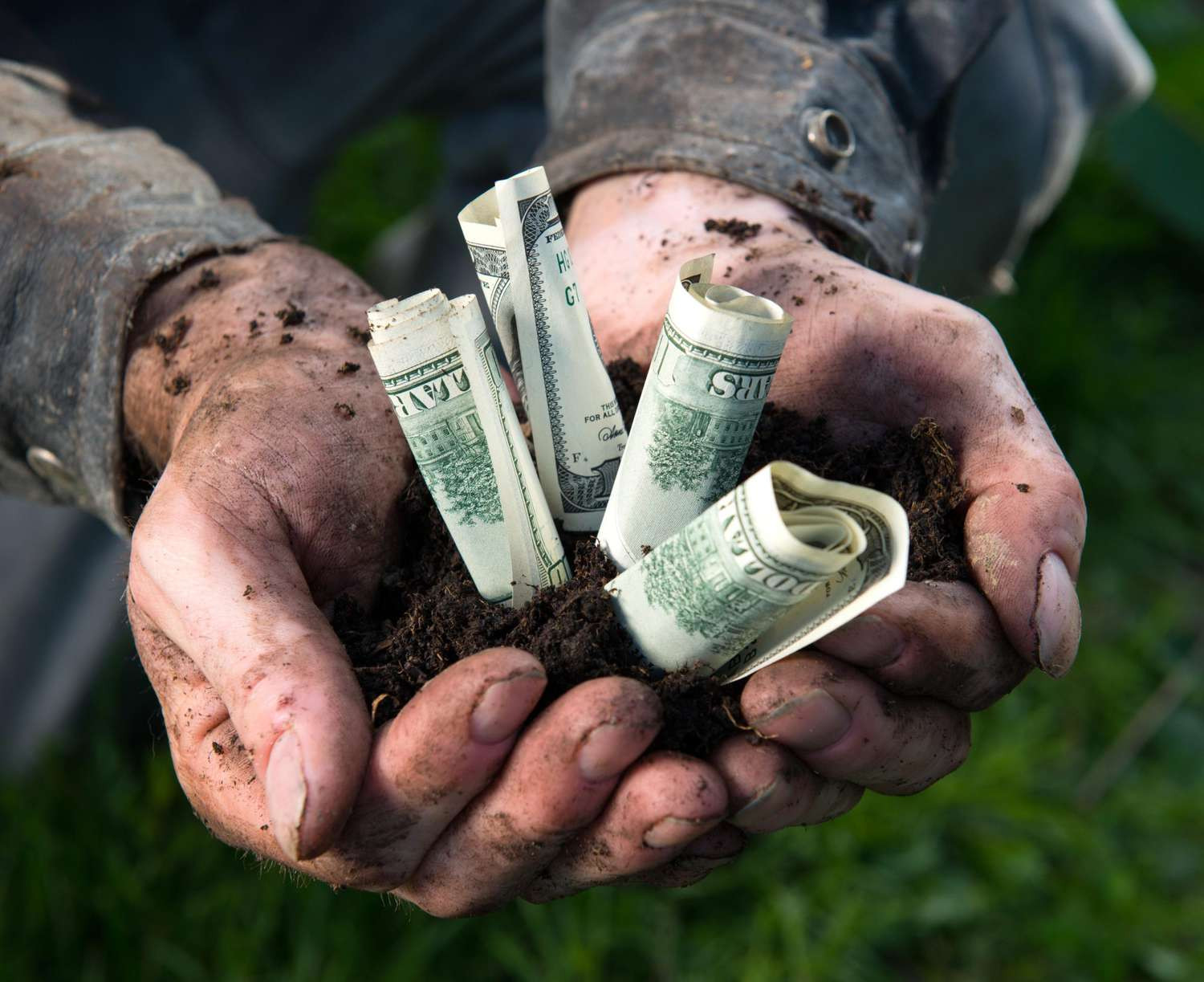Farmers to receive more direct taxpayer financial assistance this harvest season